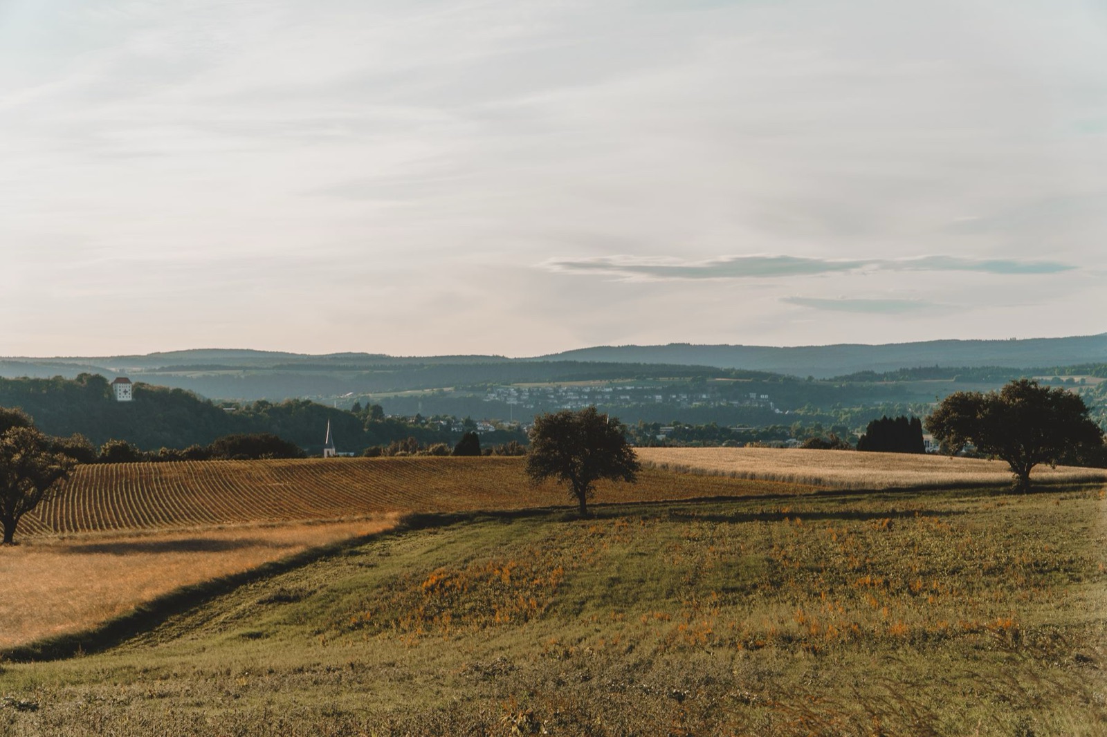 Frankfurtas ir Kelnas – artimiausi atrankų miestai